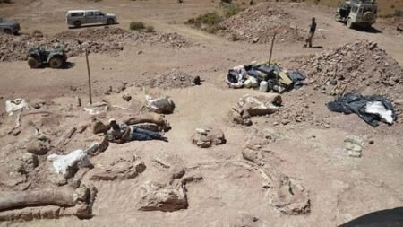 Temukan Fosil Dinosaurus Afrika, Peneliti Seperti Menang Undian